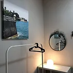 Apodaca カディス