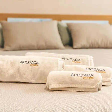 Apodaca Inn 3*